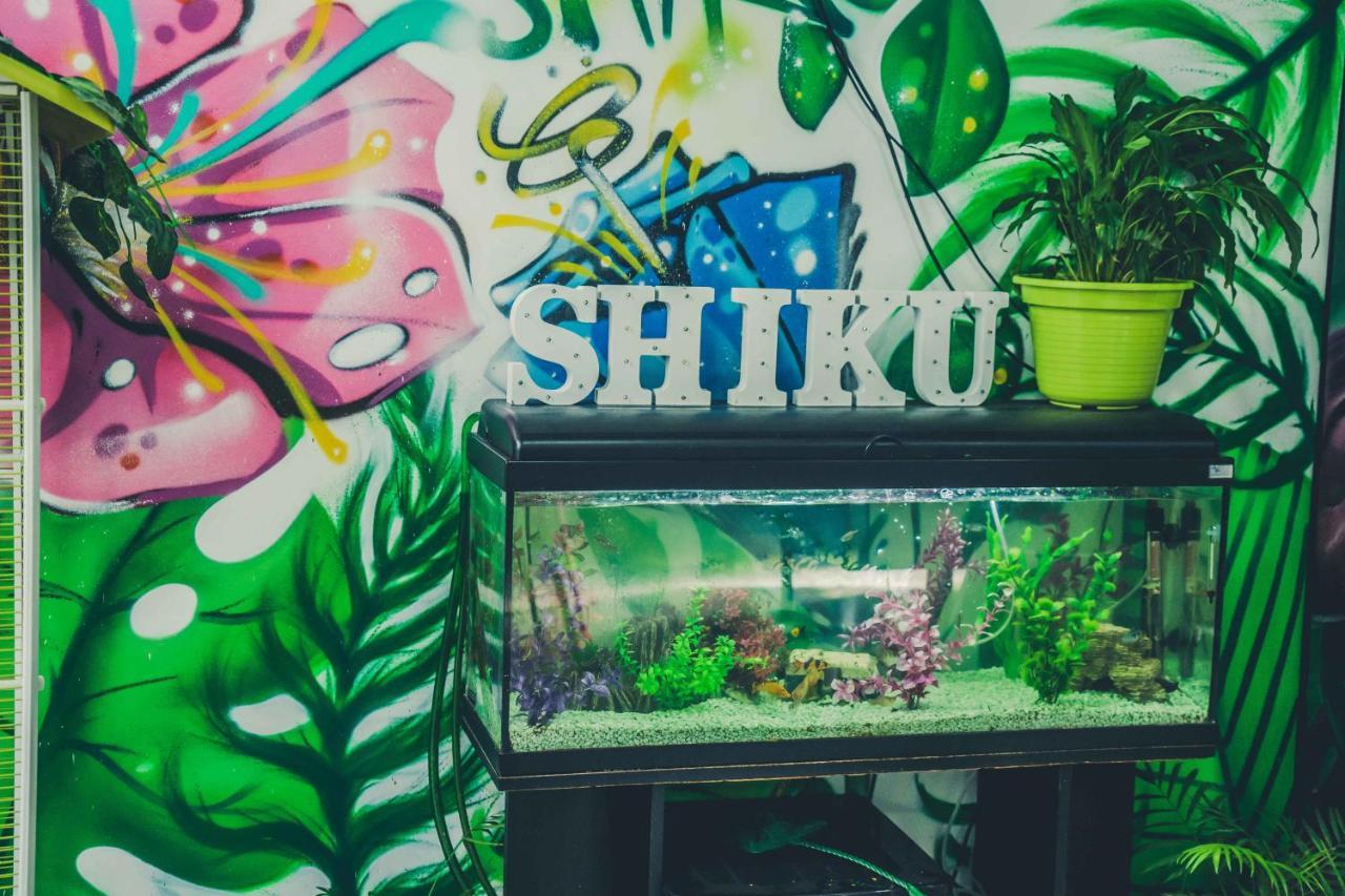Shiku Hostel Lugo Ngoại thất bức ảnh
